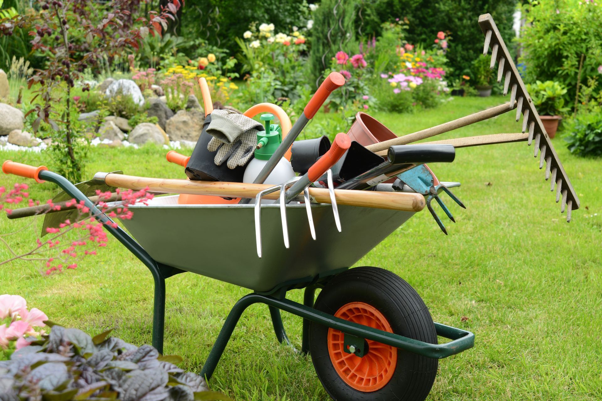 Wheelbarrow full of garden tools in a lush backyard garden