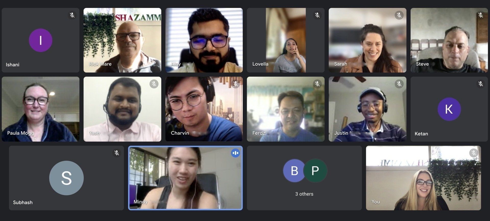 A screen capture of a video meeting showing a grid of 14 people and participant icons in a virtual conference call.
