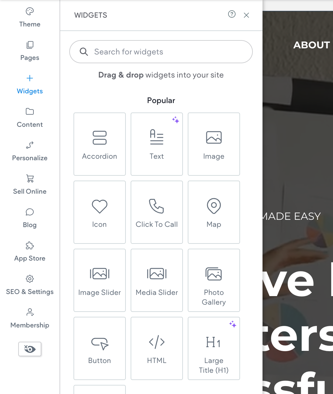 Website Mock-up