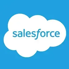 The Salesforce logo: the word 