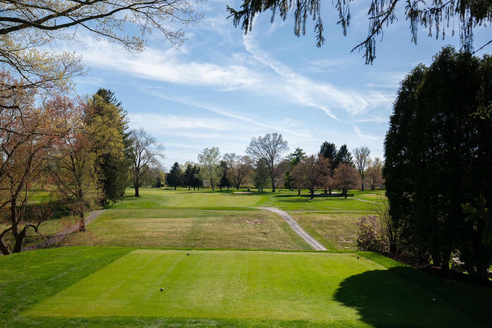 A golf course with trees and grass on a sunny day