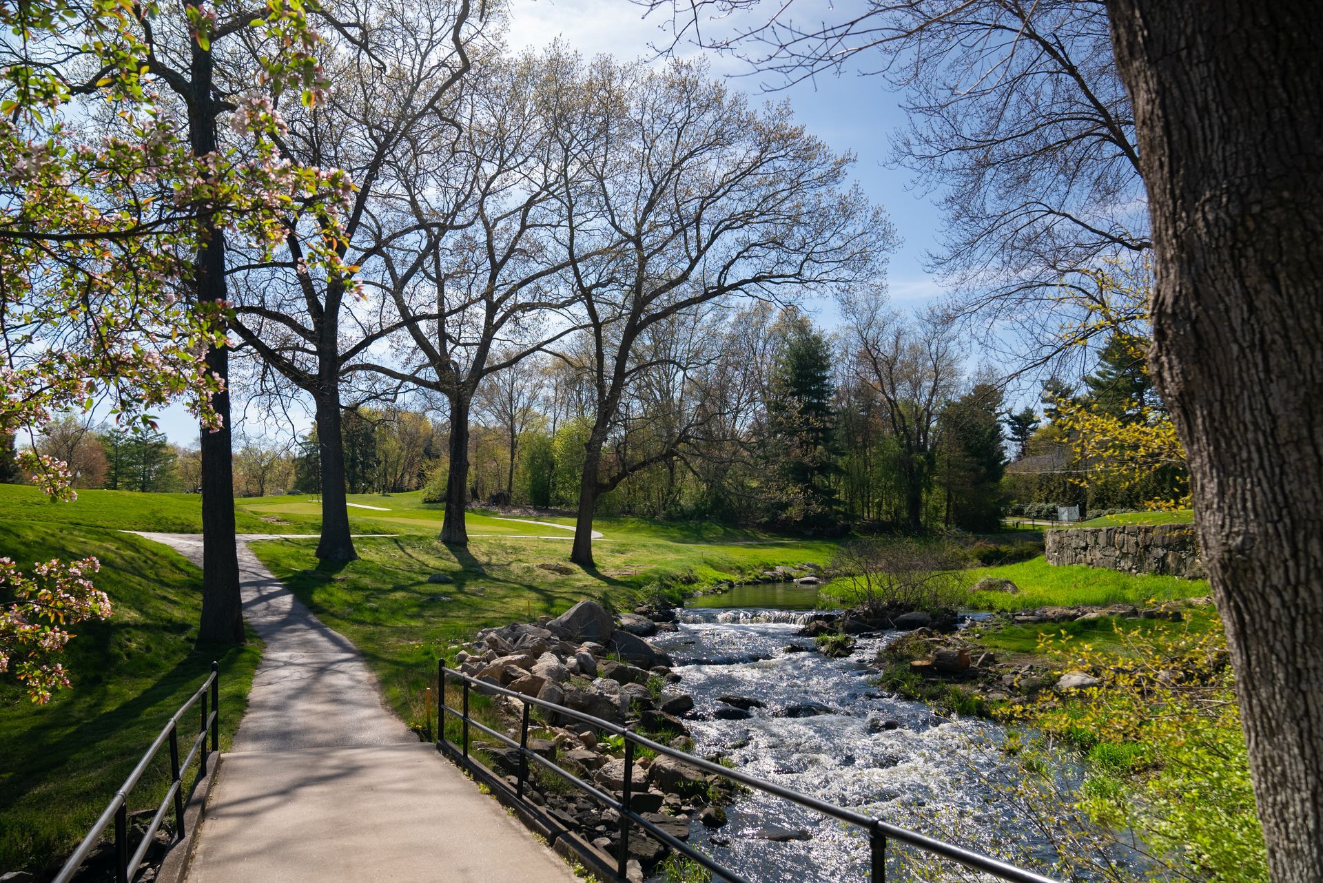 There is a bridge over a river in the middle of a park.