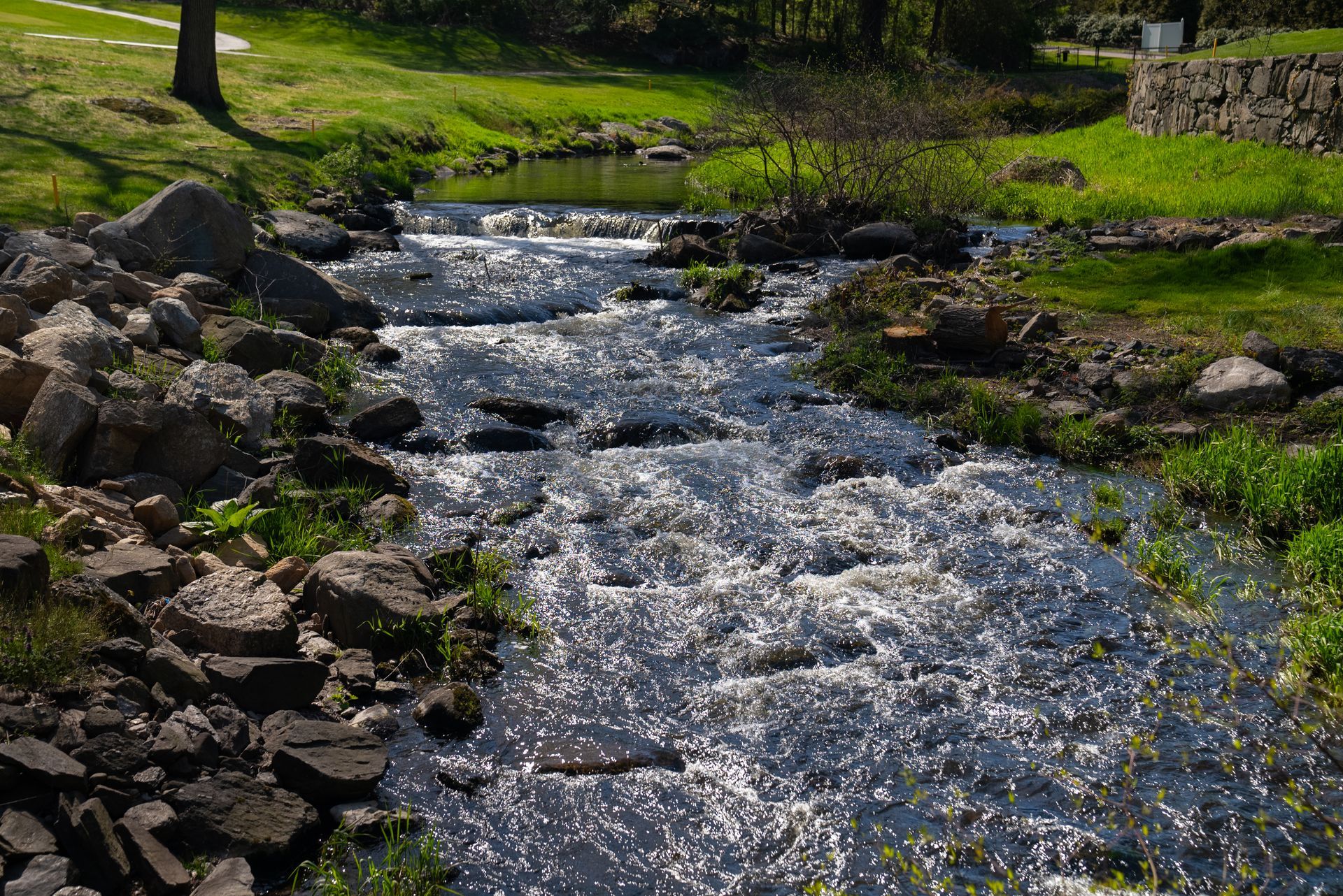 A river flowing through a park surrounded by rocks and grass
