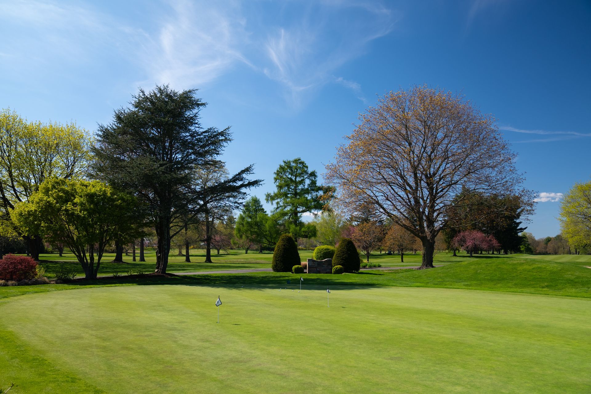 A golf course with a green and trees on a sunny day