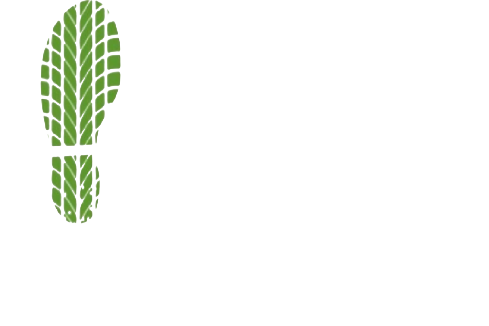 Green leaf-patterned exclamation mark on a white background
