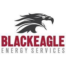 The logo for black eagle energy services shows a black eagle 's head.