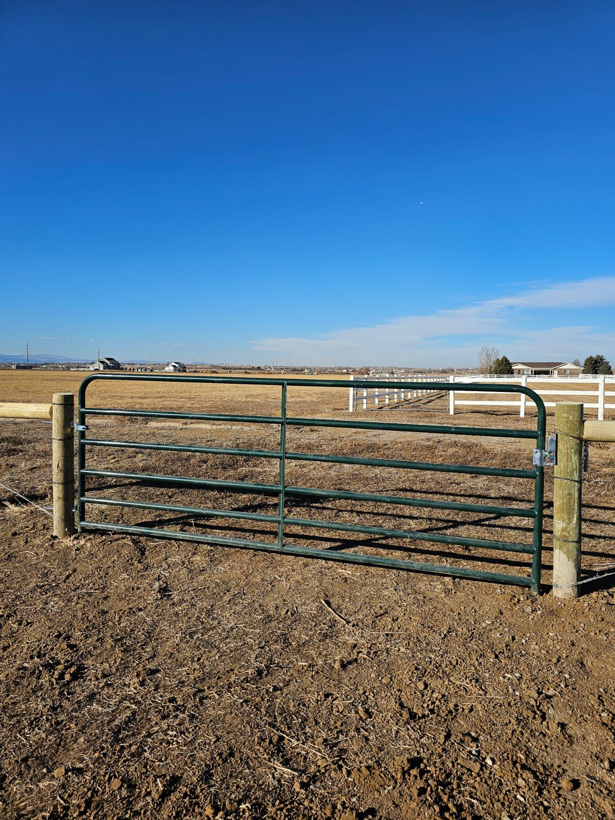 A green gate is sitting in the middle of a dirt field.