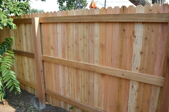 The back of a wooden fence with a tree in the background.