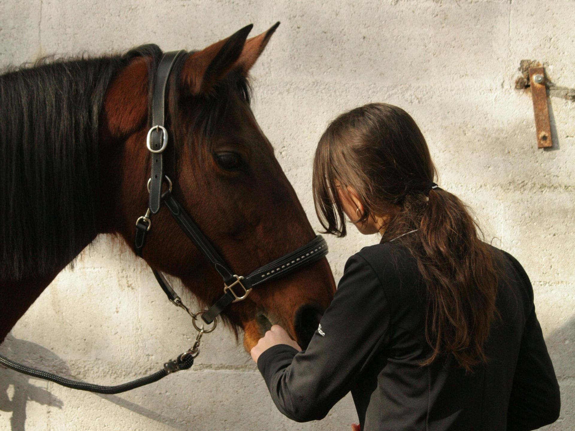 A girl petting a brown horse with a black bridle