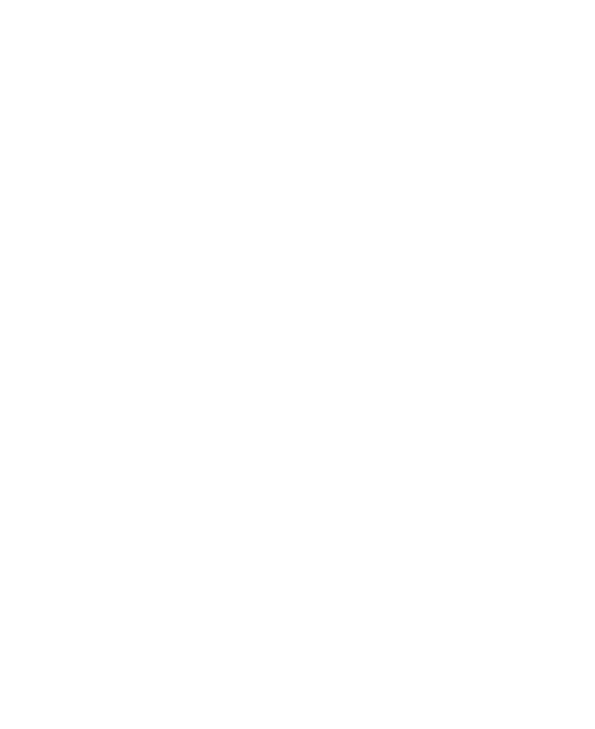 Blank white image.