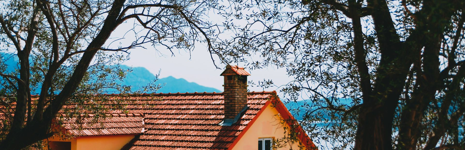 Home roof surrounded by mature trees with branches extending over the shingles and chimney.