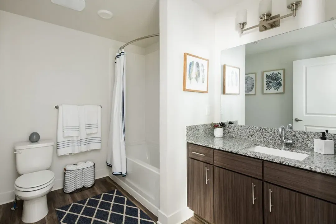Modern bathroom with vanity, tub, and toilet.