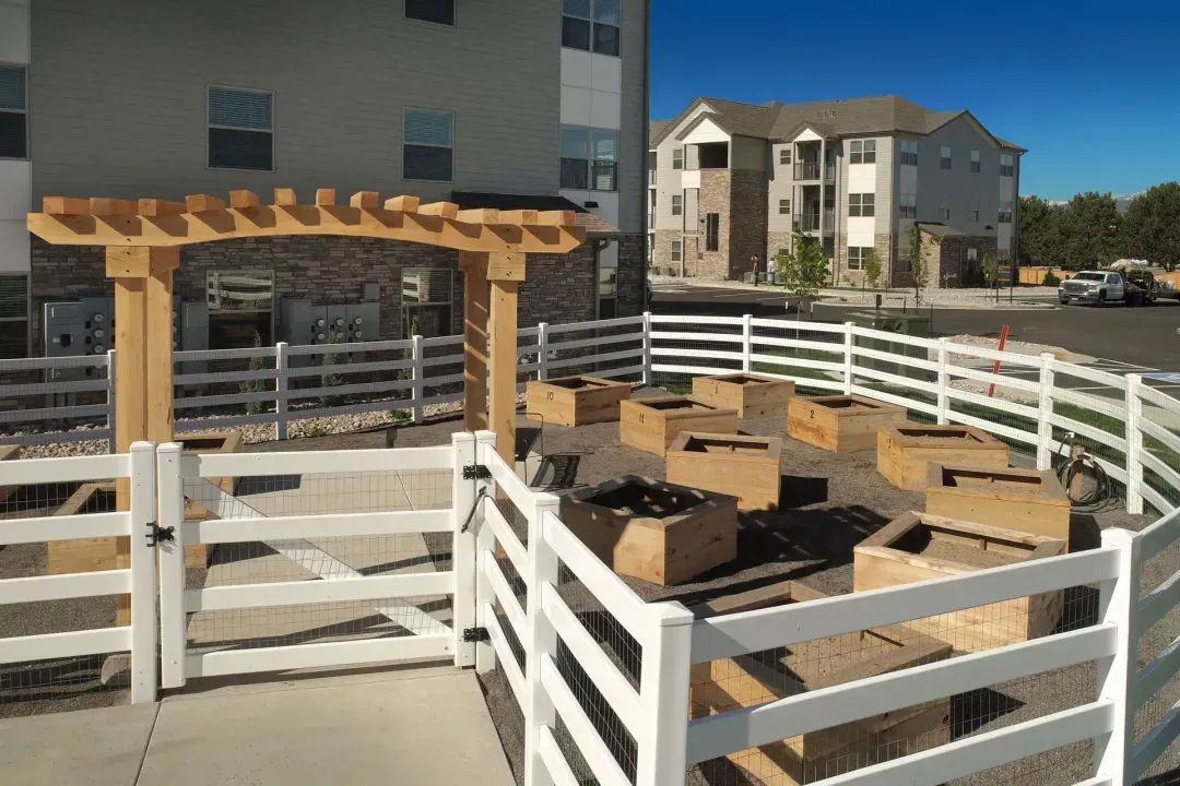 Community garden with white fencing, raised planters, and a wooden pergola beside apartment buildings.