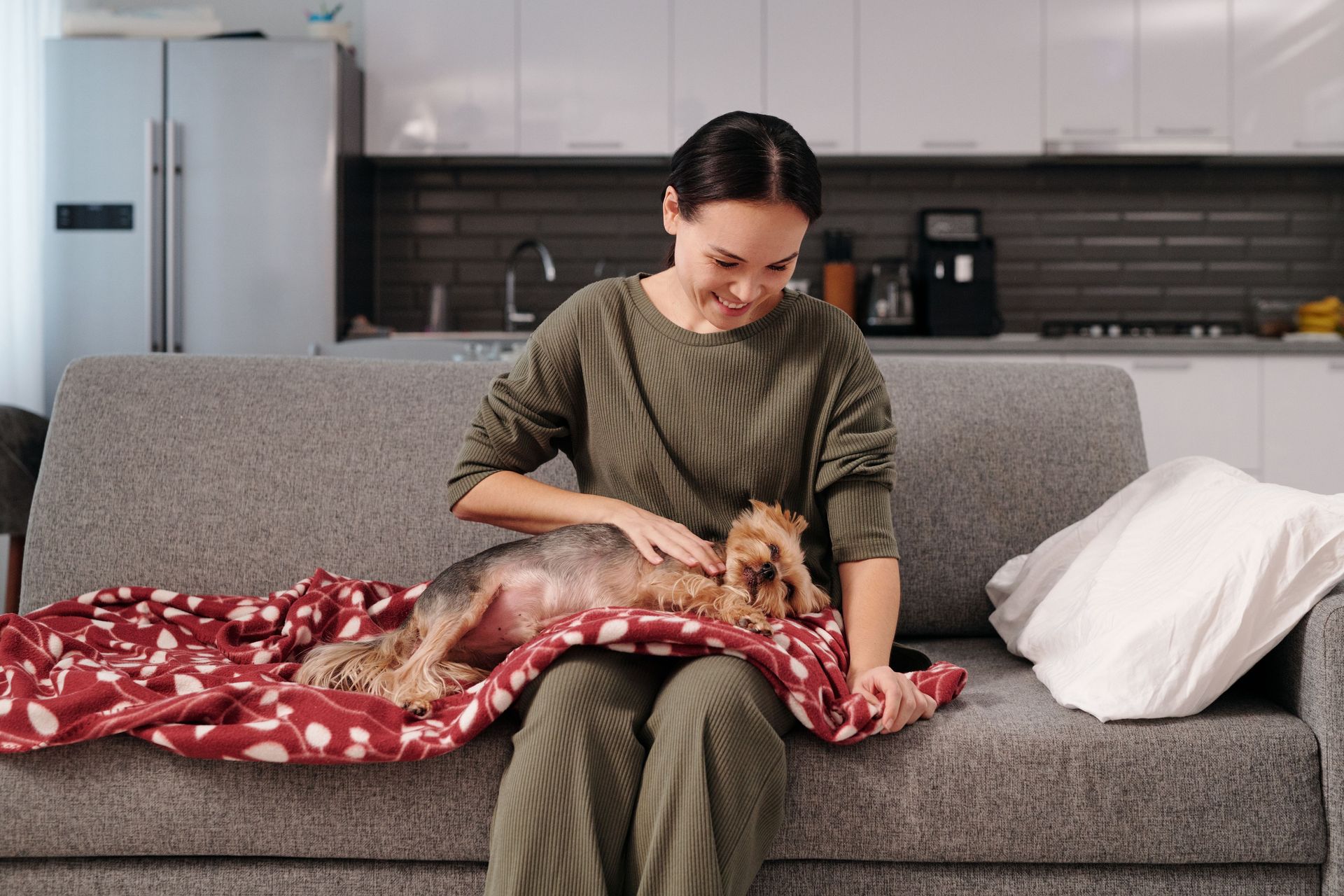 Person sitting on a gray sofa petting a small dog on a red blanket in a modern living room.