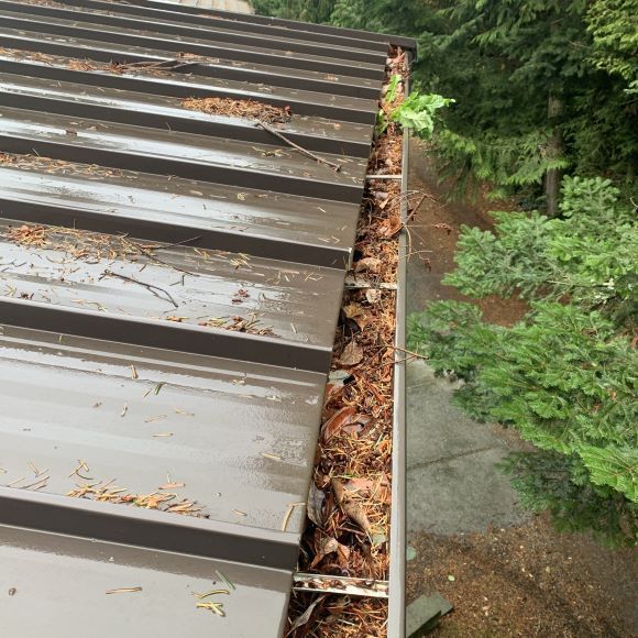 Gutter Cleaning