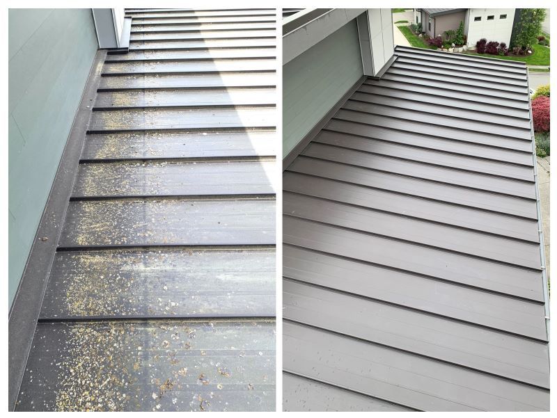 Soft Wash Metal Roof Cleaning