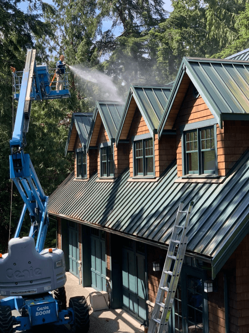 Roof Cleaning Service