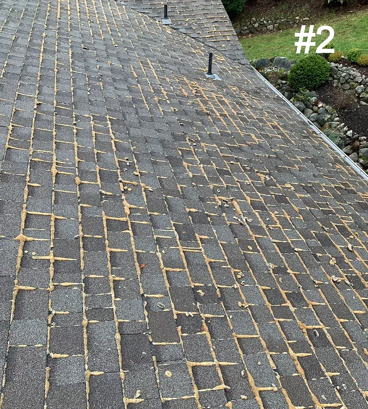 Moss Removal