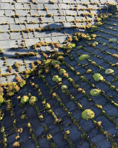 roof soft washing Anacortes wa