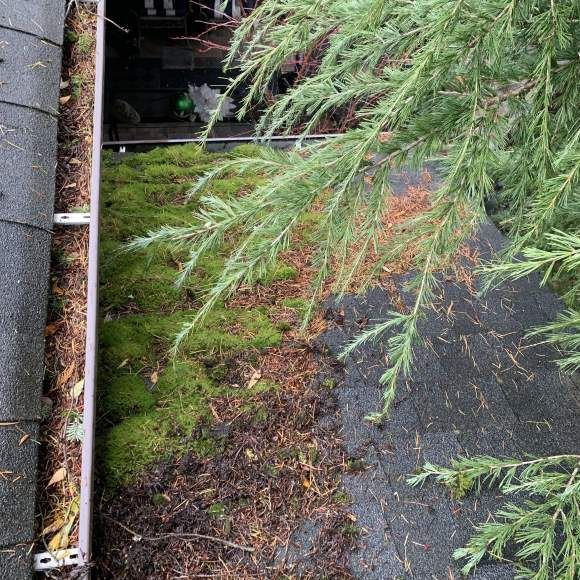 Pressure washing service