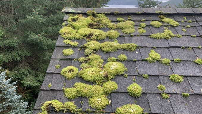 Roof Cleaning Mount Vernon