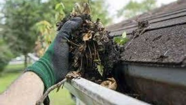 Gutter Cleaning Service