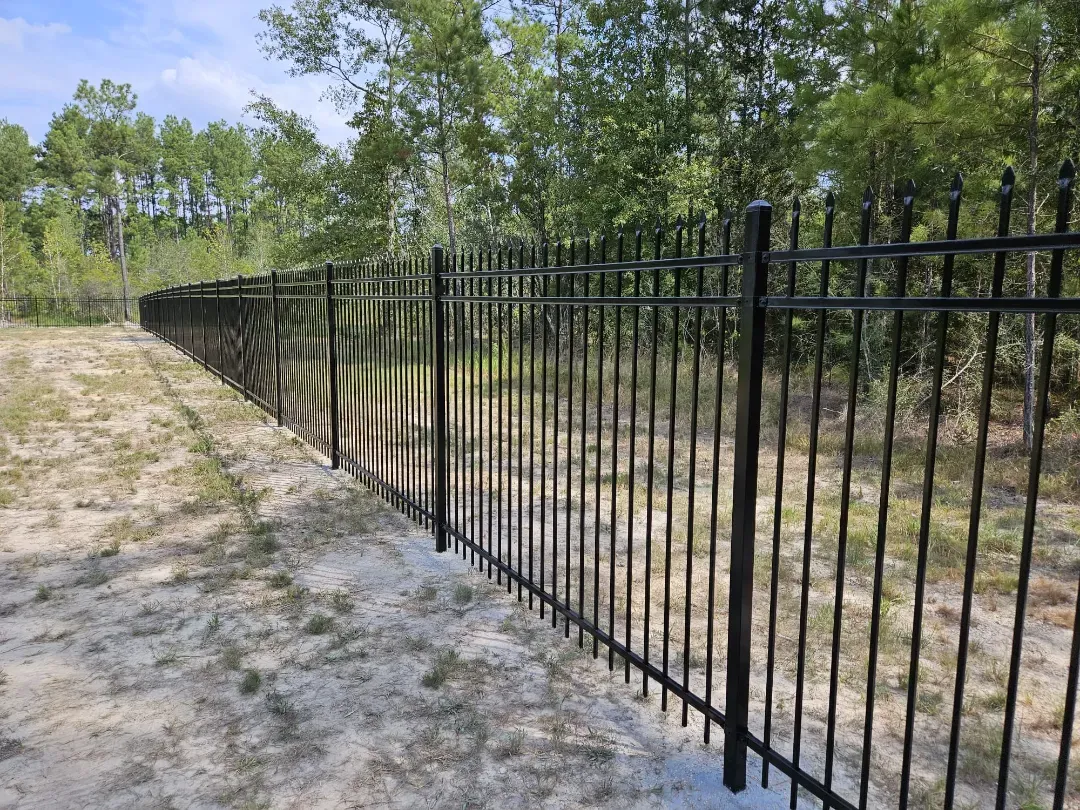 Black metal fence along a sandy path beside trees and dry grass under clear daylight.