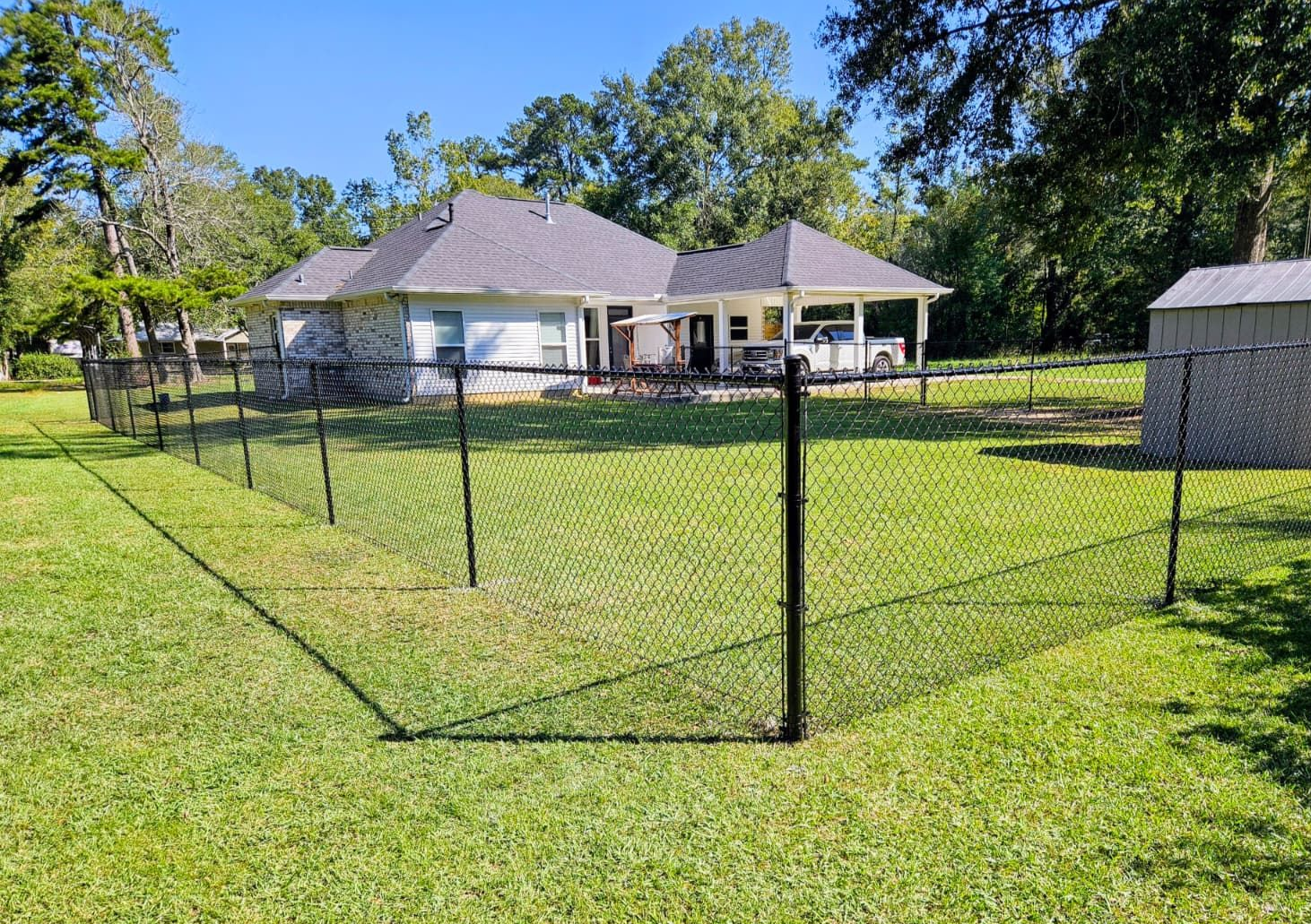 Chain-link fenced yard with a house, shed, and green lawn under a sunny sky