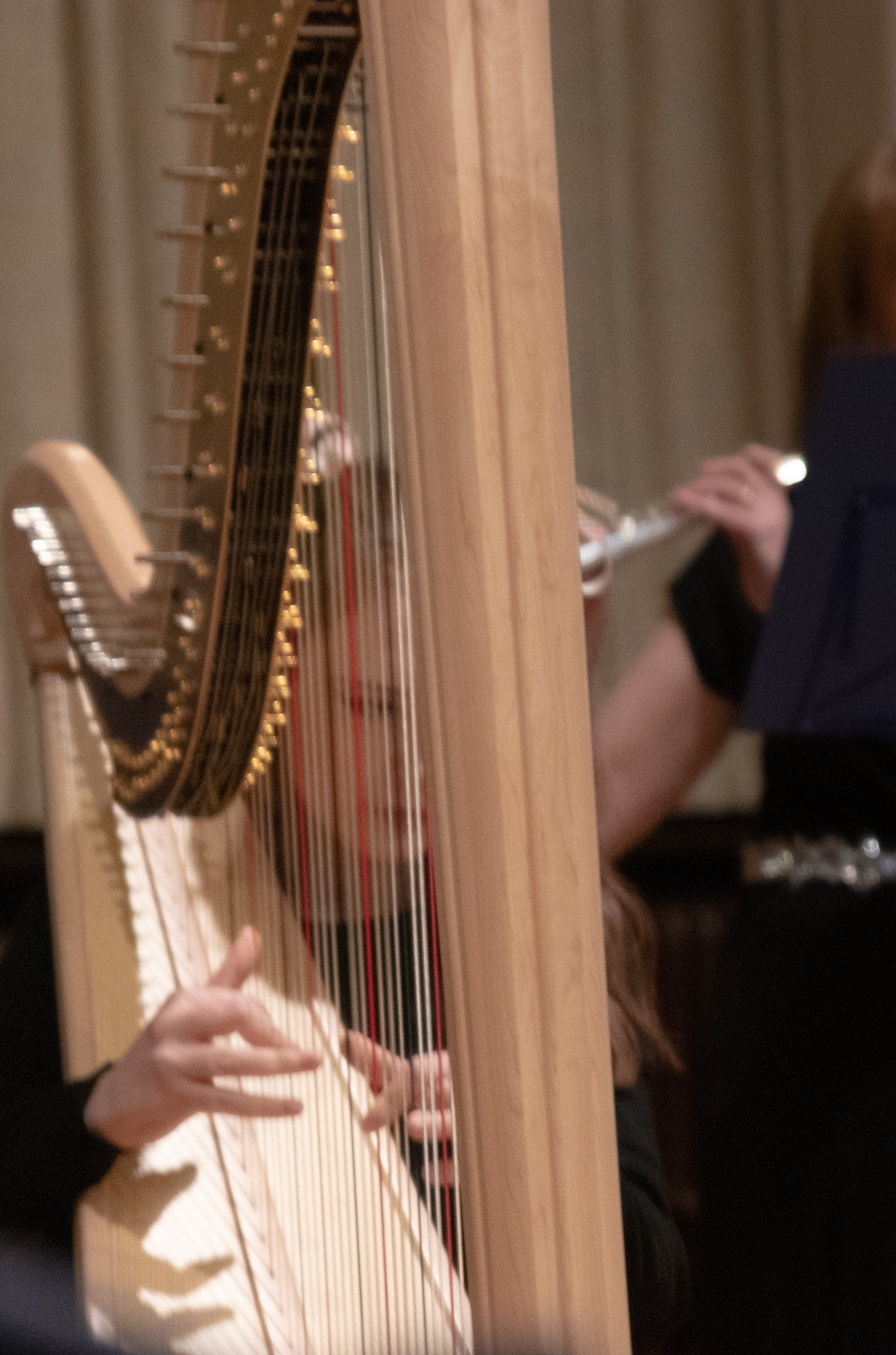 Sebrina playing a harp, with hands on the strings in a performance setting