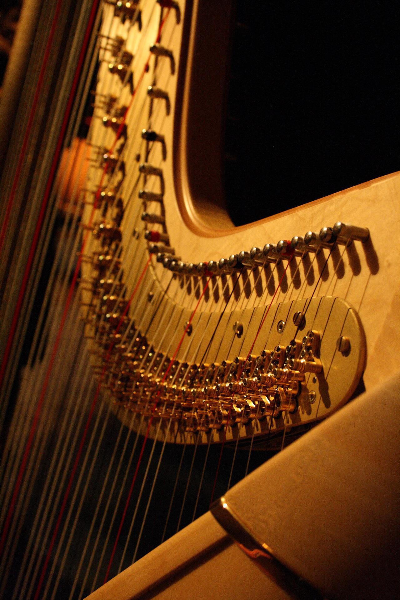 Close-up of a harp’s strings and golden tuning levers in warm light.