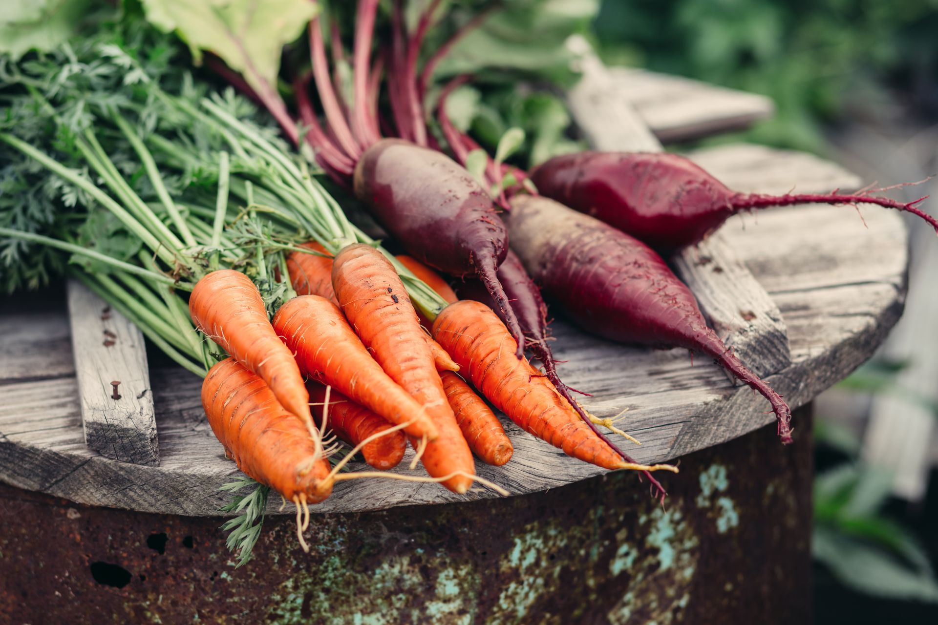 Farm-to-Table Fresh Veggies