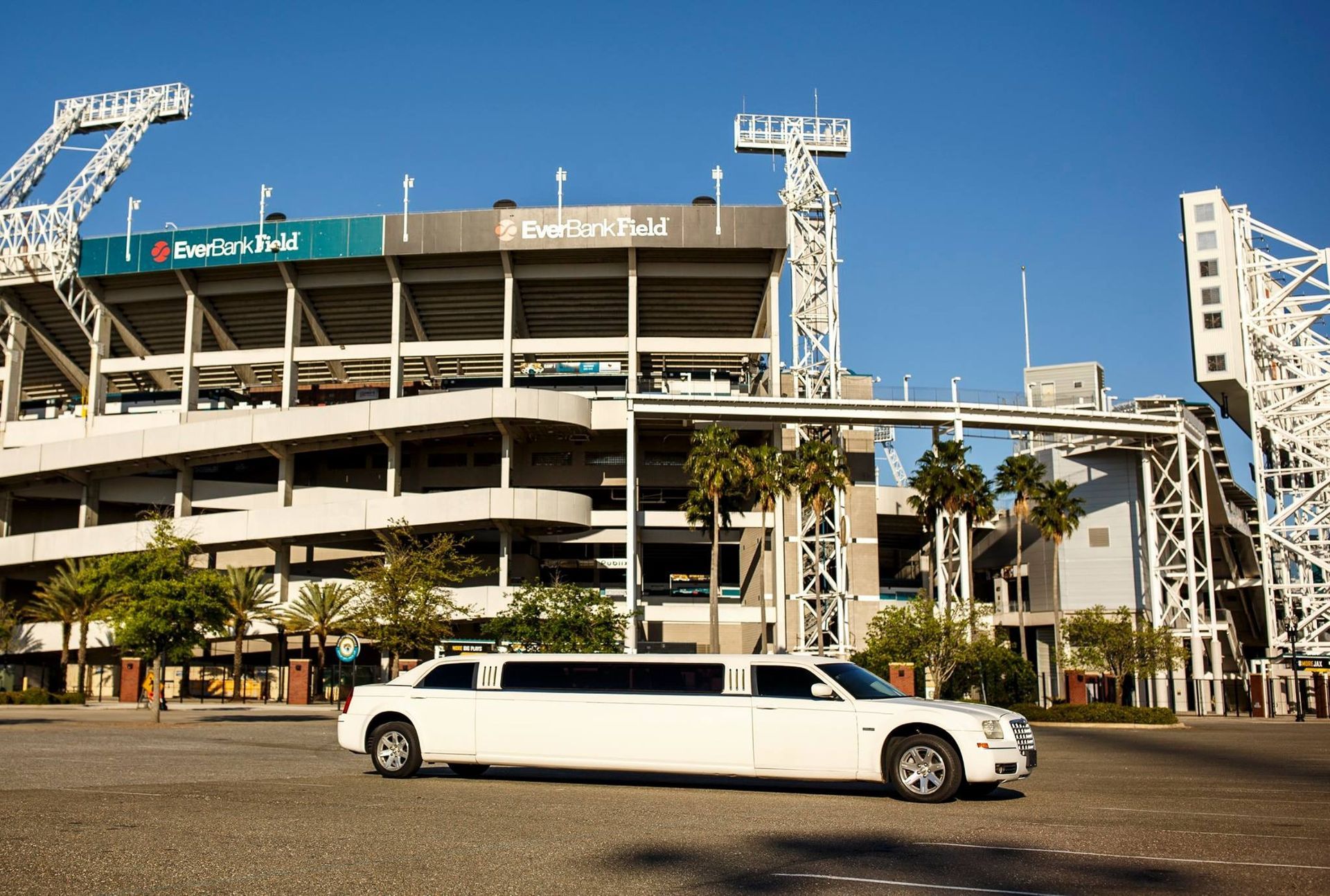 White limousine parked outside a stadium with palm trees and a clear blue sky
