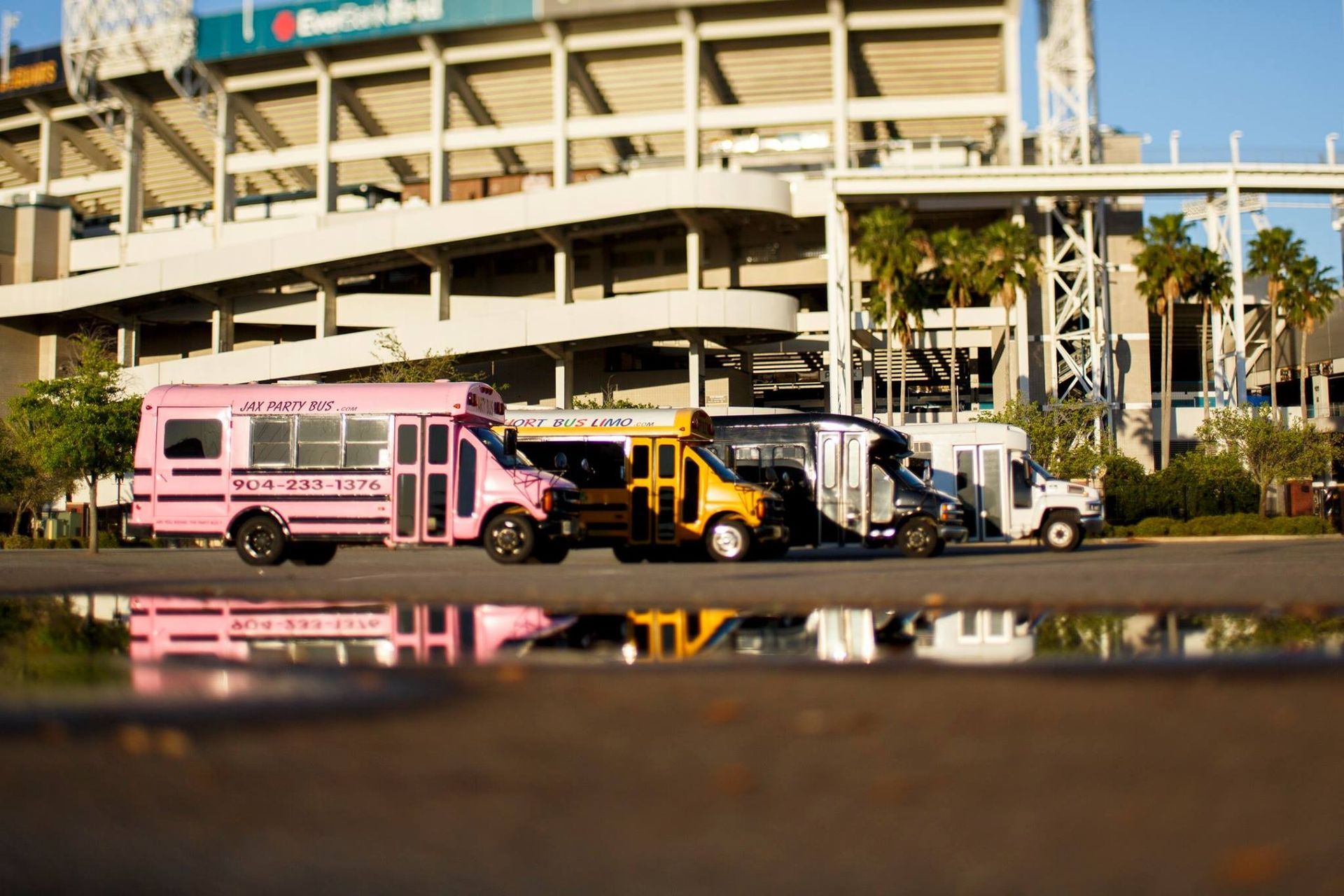 Pink and black buses parked outside a stadium, reflected in a puddle