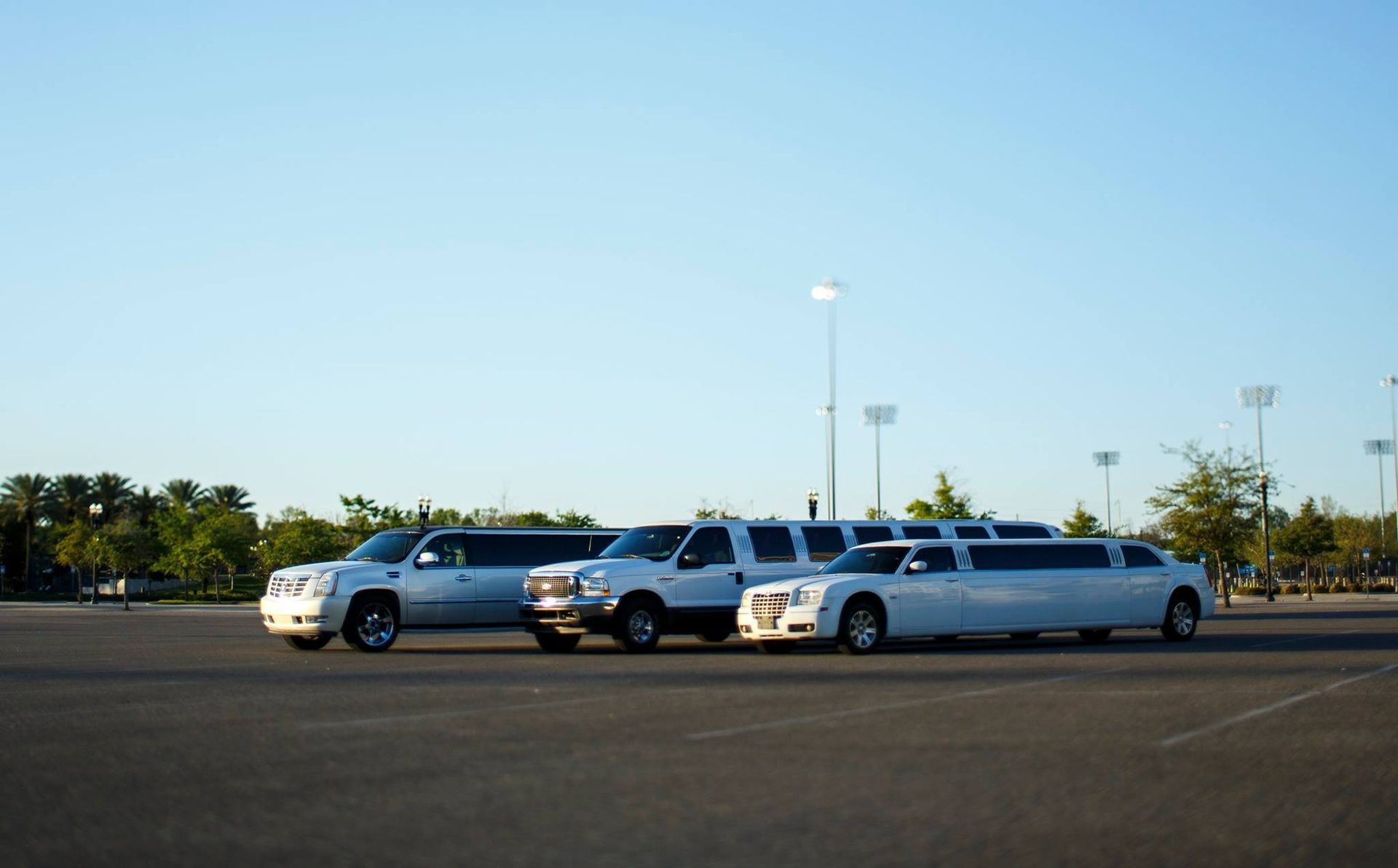 Three silver stretch limousines parked in an open lot under a clear blue sky