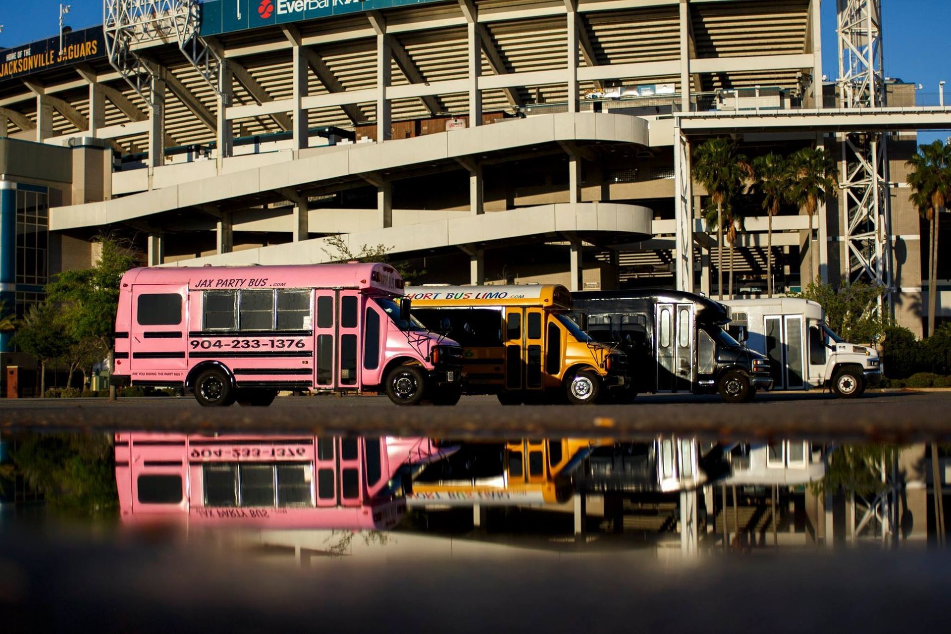 Pink and black buses parked in front of a stadium, reflected in a puddle