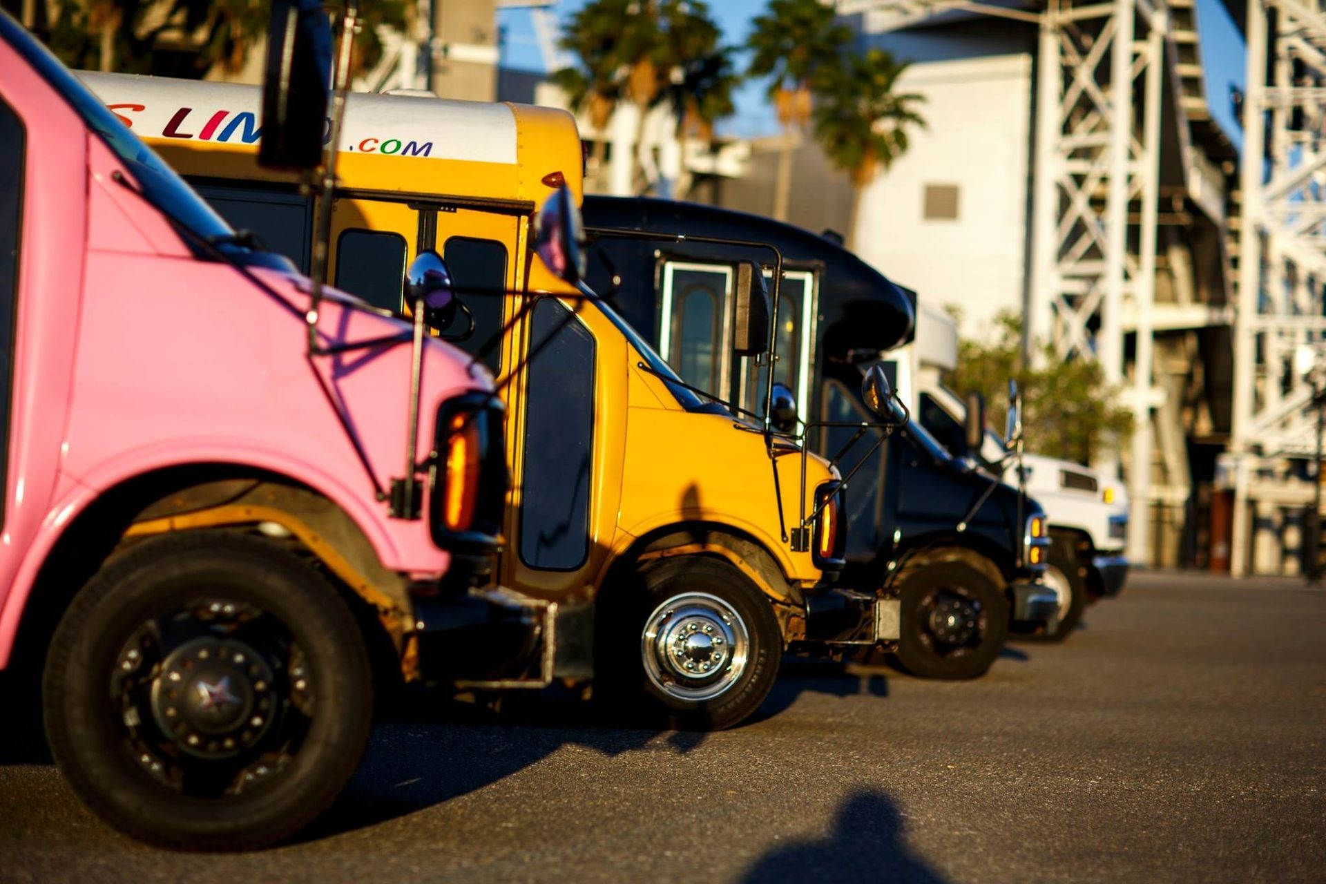 Row of colorful trucks parked outside a building in sunlight