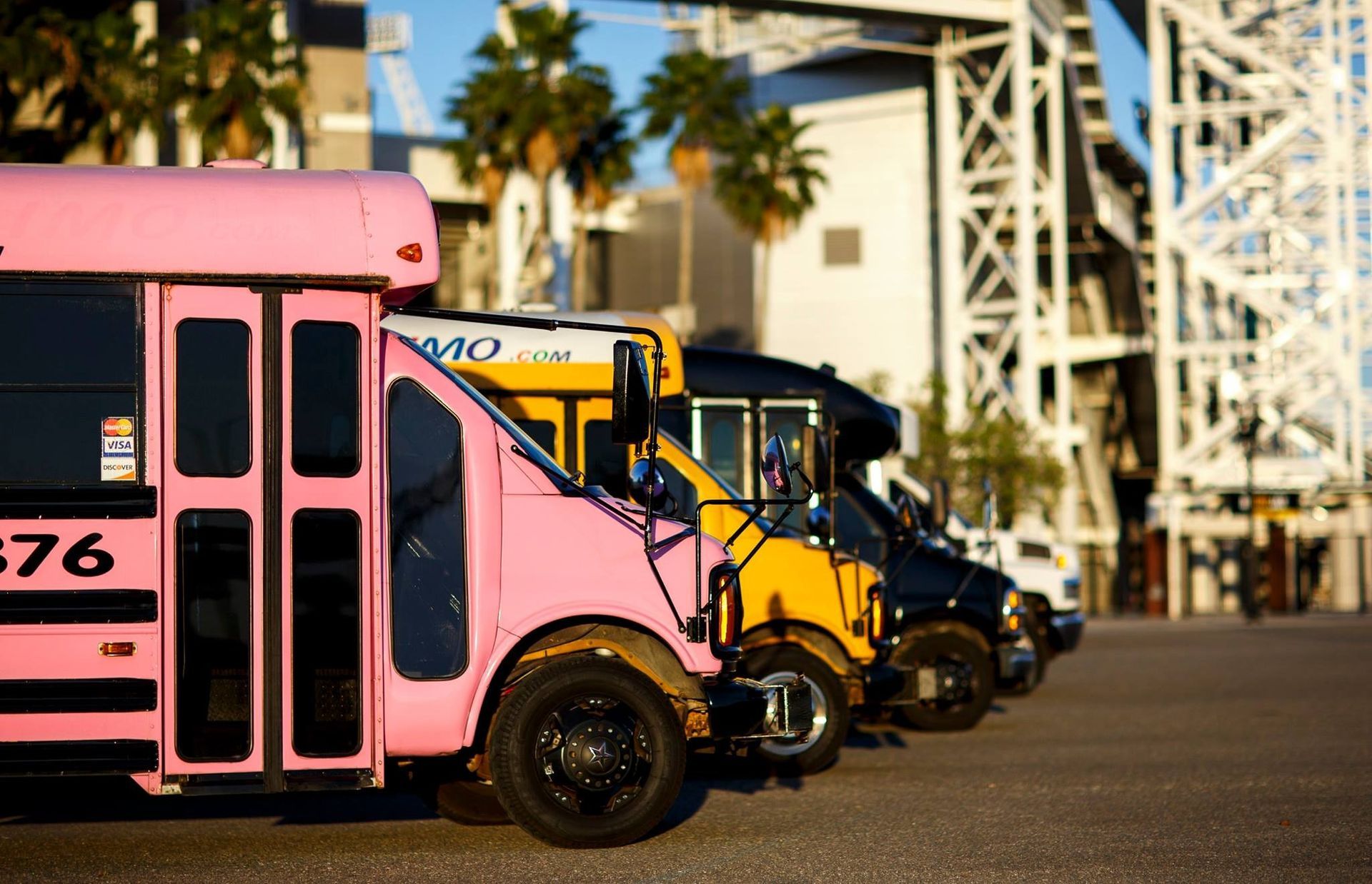 Row of colorful school buses parked on a sunny street near palm trees