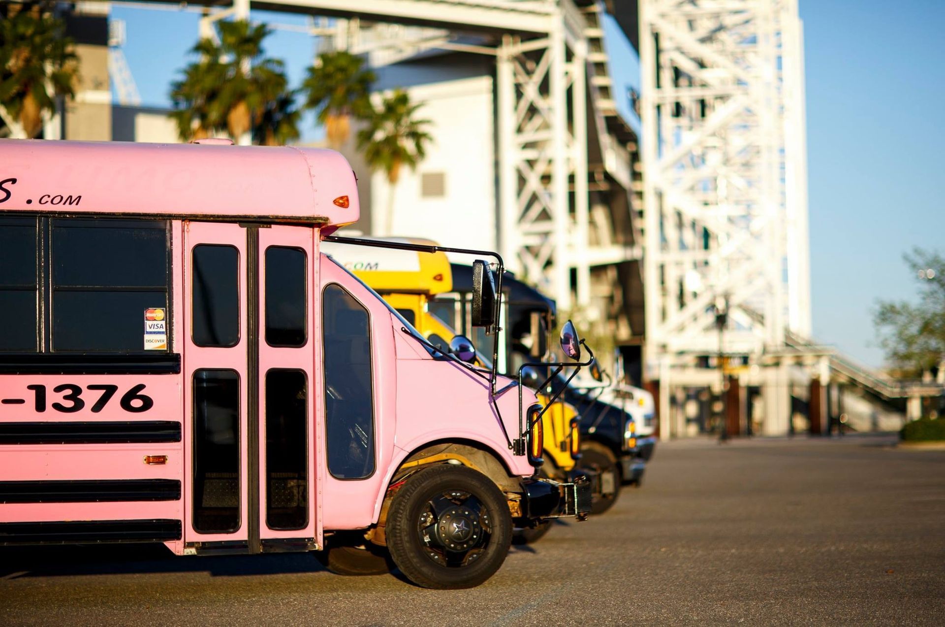 Pink and yellow school buses parked beside a bridge on a sunny street