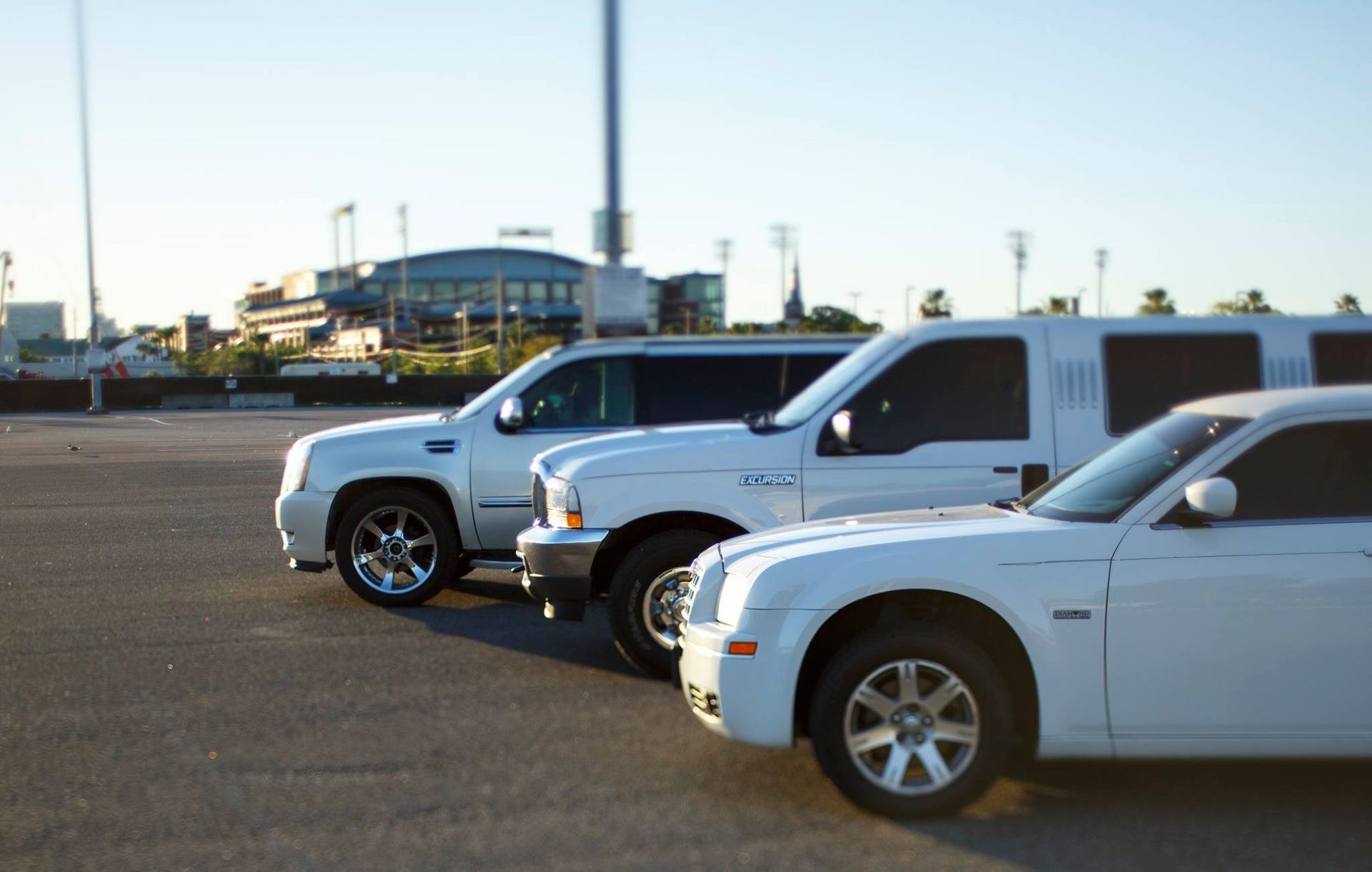 Four parked white SUVs in a lot under a clear sky, side view facing left.