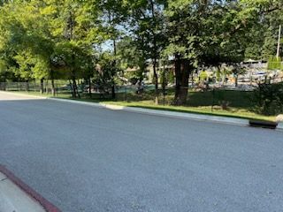 A person is riding a skateboard down a street with trees in the background.