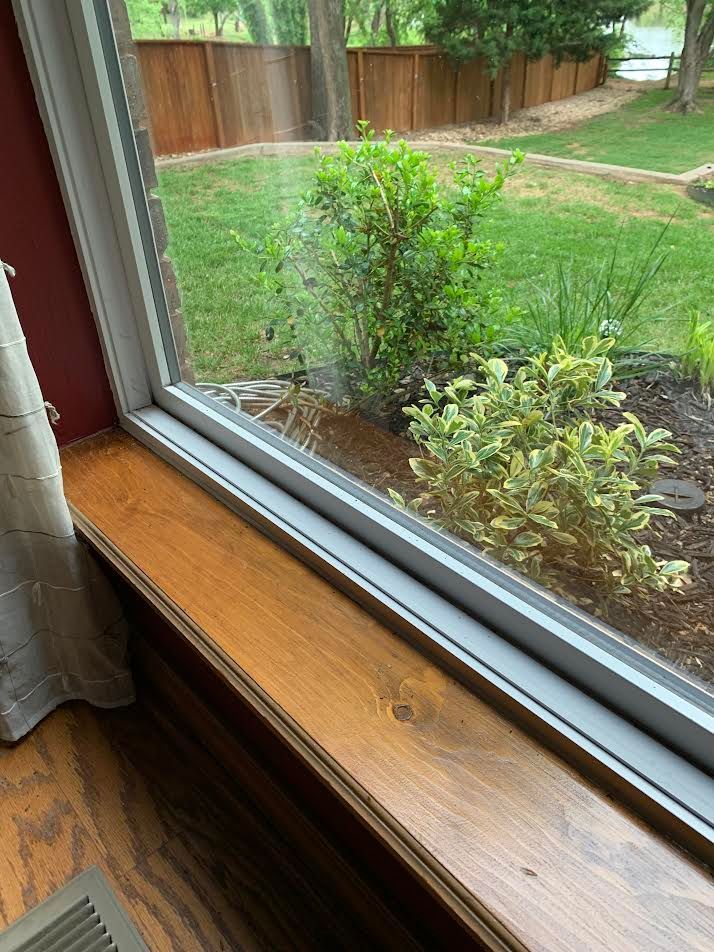 Window seat overlooking a green backyard with a wooden fence and shrubs