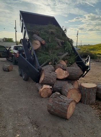Dump trailer tilted, unloading logs and branches onto ground.