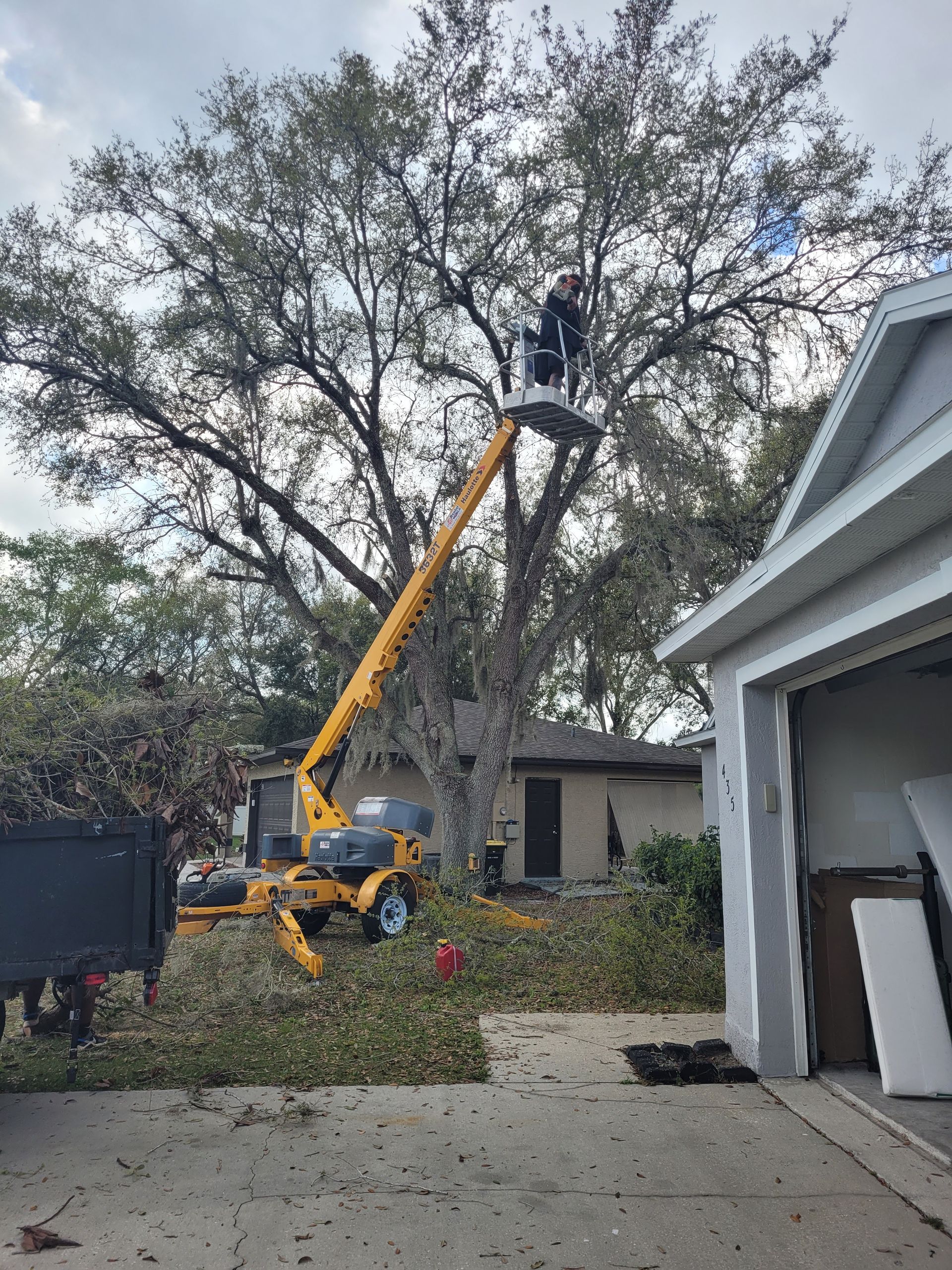 A worker in a lift trims a large tree in front of a house. Debris and equipment surround the tree.