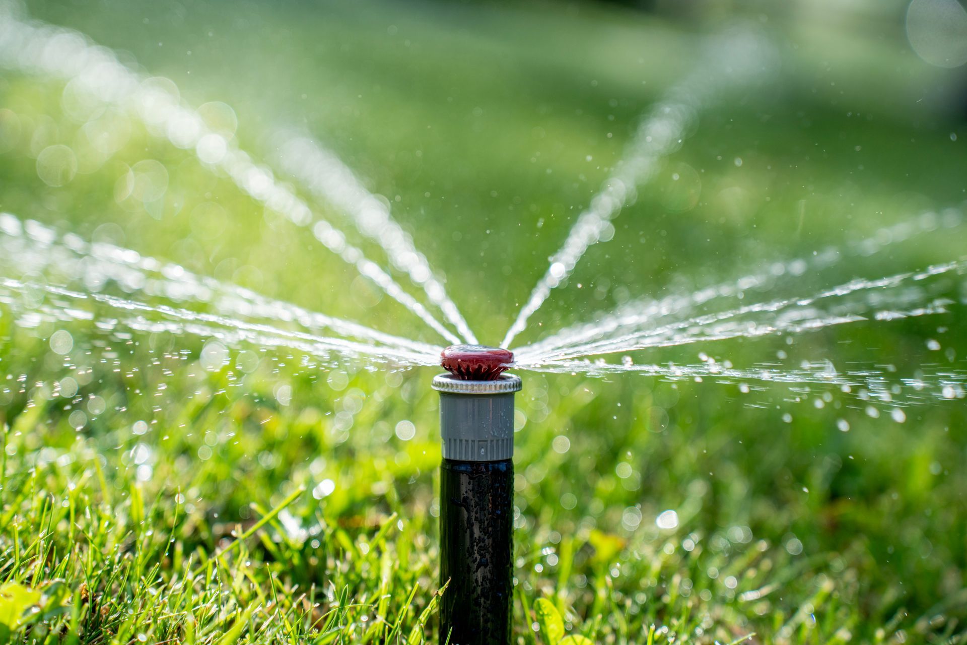 A garden sprinkler spraying water across green grass.
