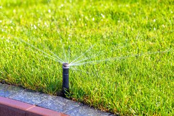 Lawn sprinkler spraying water over green grass beside a curb