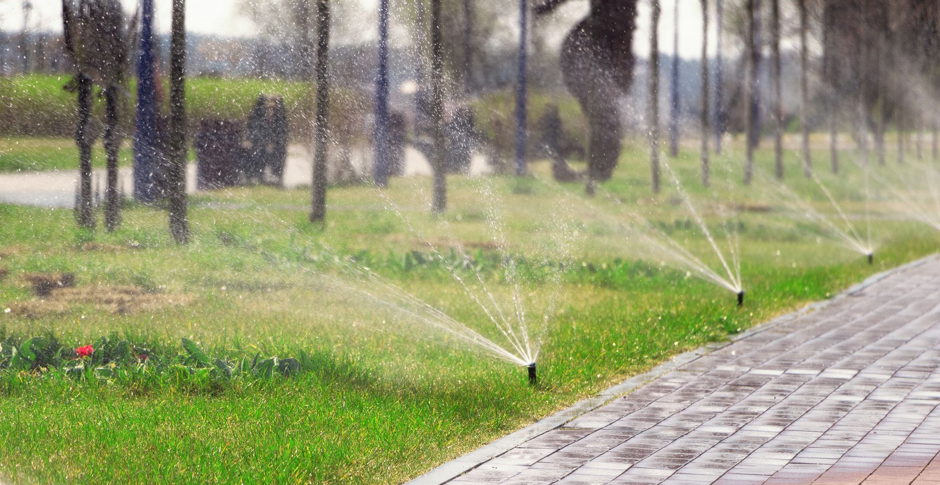 Sprinklers watering green grass beside a cobblestone path in a park-like setting