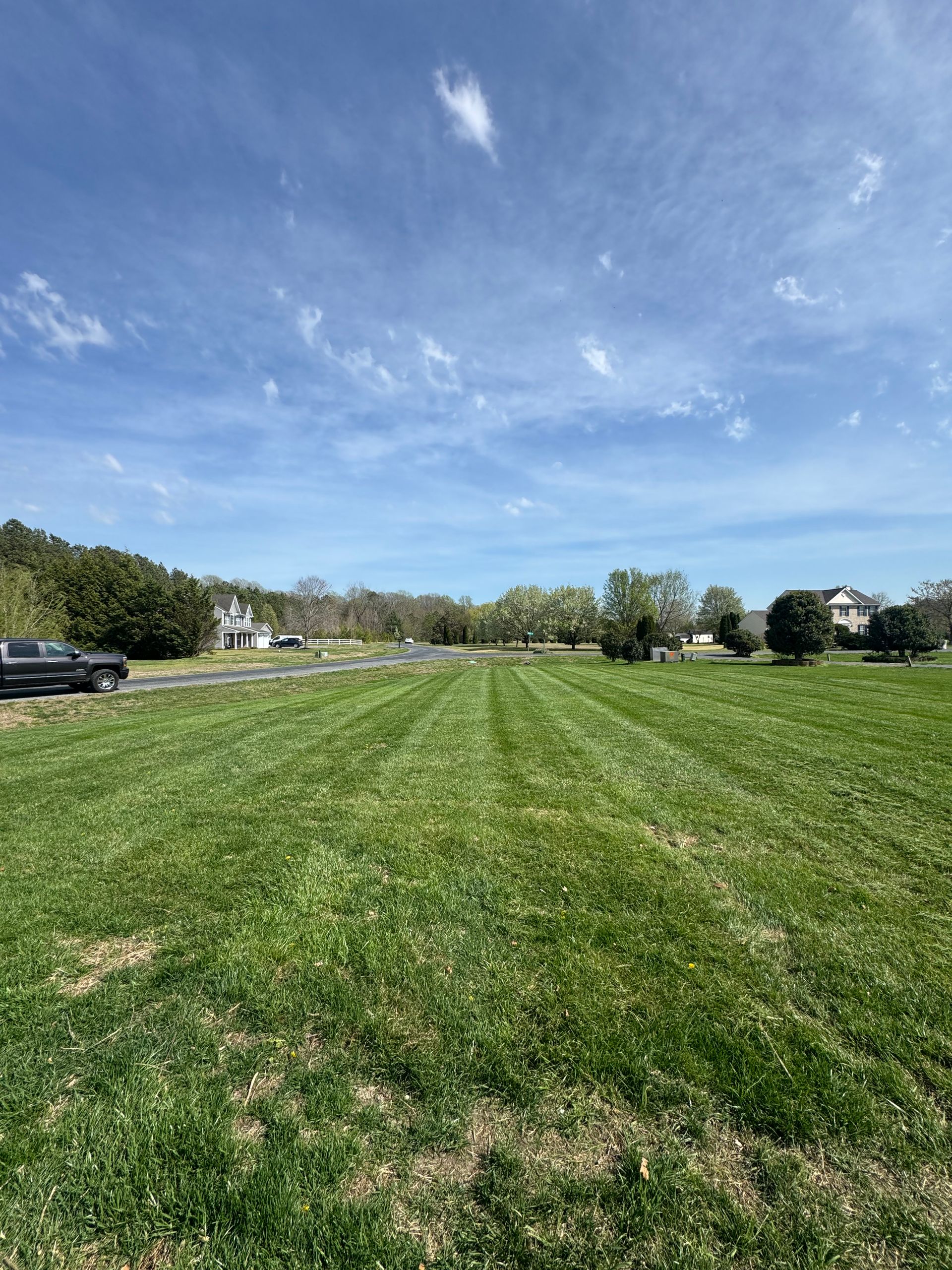 Orange lawn mower cutting green grass on a sunny lawn