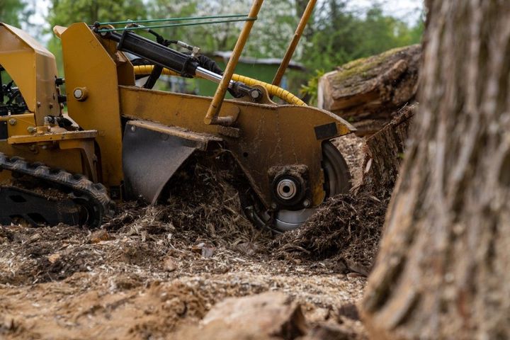 A close up of a stump grinder cutting a tree stump.