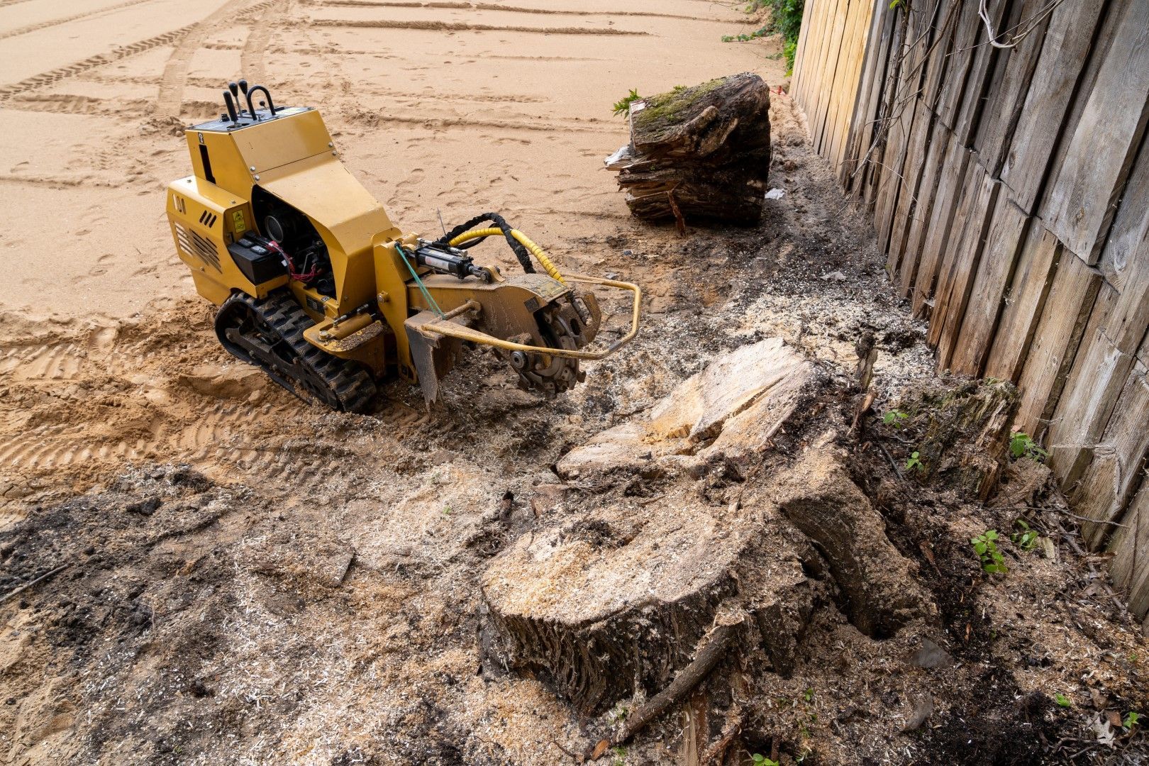 A stump grinder is cutting a tree stump in the dirt.