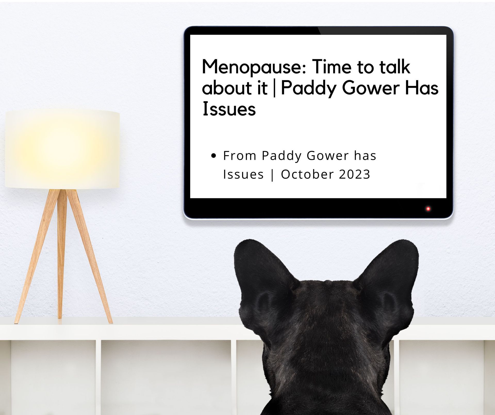 Dog watching a TV screen with a text about menopause, next to a lamp and shelves.